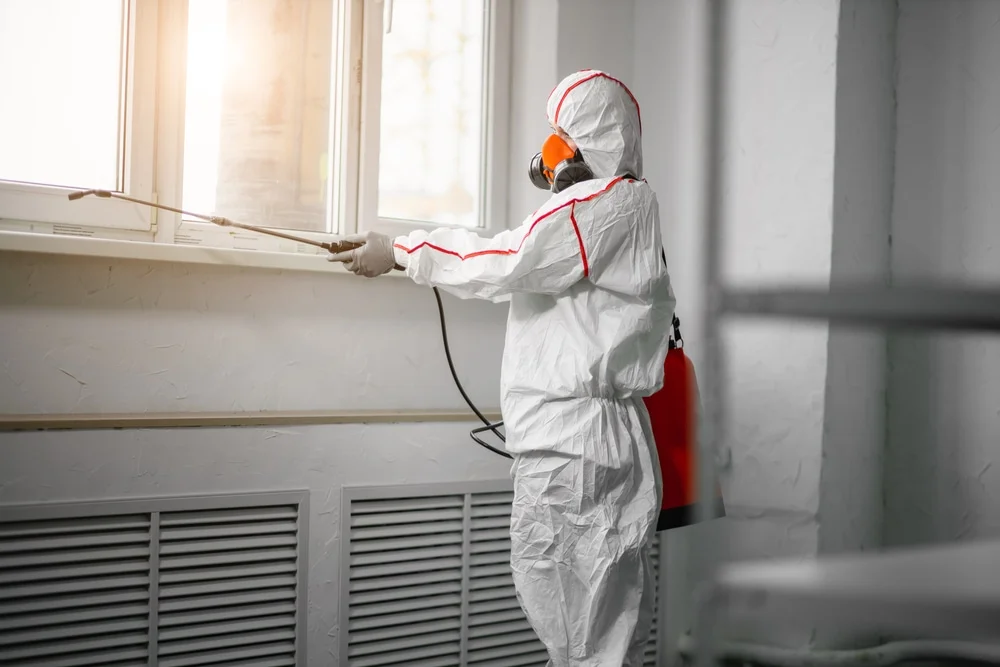 Professional mold remediation services in Roswell, GA
